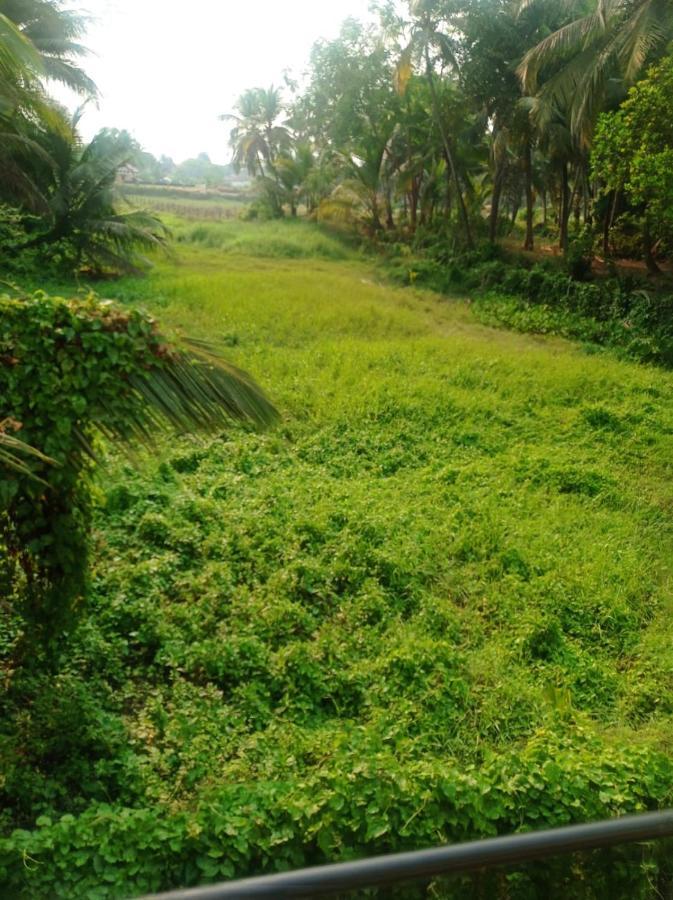 Heaven Goa Guesthouse Benaulim Bagian luar foto